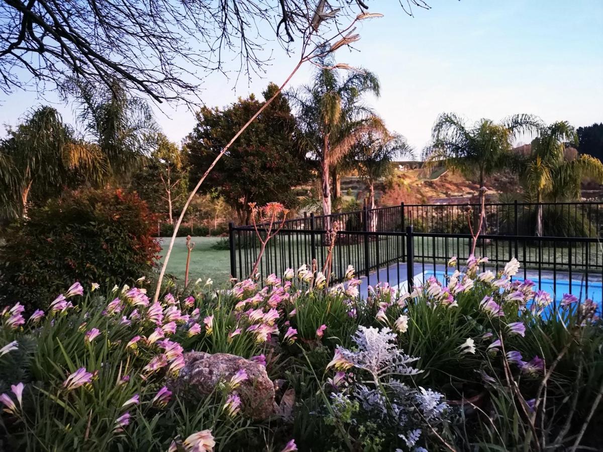 River Side Lodge Whakamarama ภายนอก รูปภาพ