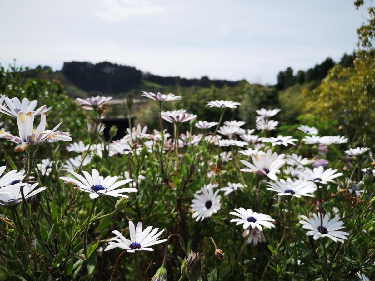 River Side Lodge Whakamarama ภายนอก รูปภาพ