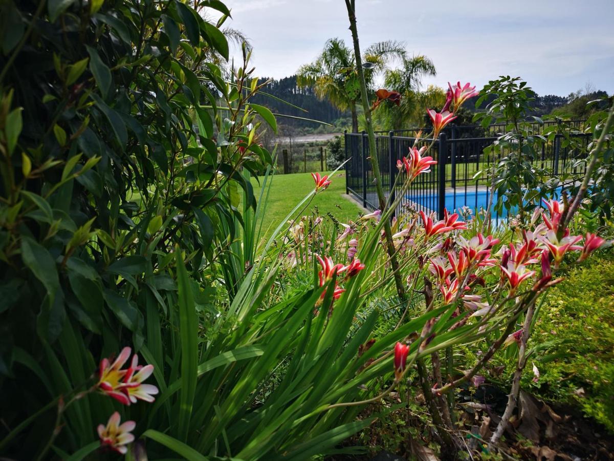 River Side Lodge Whakamarama ภายนอก รูปภาพ